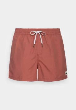Quiksilver Everyday Volley - Zwemshorts - Apple Butter Heather