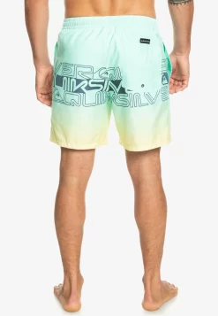 Quiksilver Everyday Wordblock Volley 17 - Zwemshorts - Beach Glass -Quiksilver 2d5bc11994db4f839fa6d11c24248df1