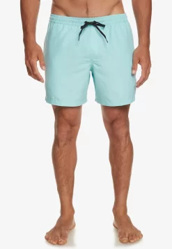Quiksilver Everyday Deluxe Volley - Zwemshorts - Blue Heather