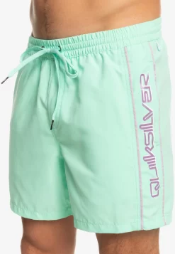 Quiksilver Everyday Volley 16 - Zwemshorts - Beach Glass -Quiksilver 5862ec272d83481bb040a814719a8789