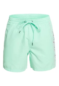 Quiksilver Everyday Volley 16 - Zwemshorts - Beach Glass -Quiksilver 6bf5be44ac374c01ba54b57102bd349b