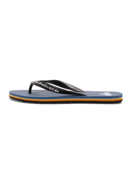 Quiksilver Molokai Core - Tongs - Teensandalen - Byj