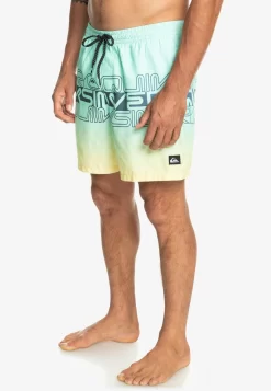 Quiksilver Everyday Wordblock Volley 17 - Zwemshorts - Beach Glass -Quiksilver 800baa06a92046319593f8354f3d2295