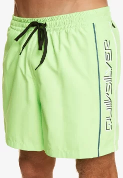Quiksilver Everyday Volley 16 - Zwemshorts - Green Gecko