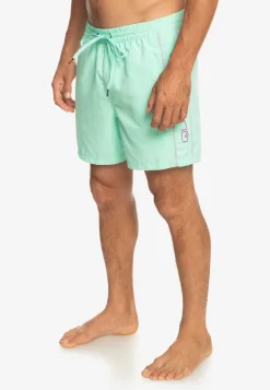 Quiksilver Everyday Volley 16 - Zwemshorts - Beach Glass -Quiksilver e425508de19049468006fd0bed1c8892