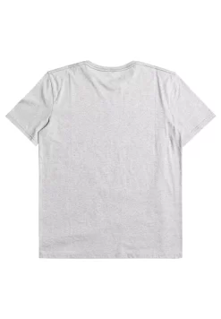 Quiksilver Complogo Byj0 - T-Shirt Print - Athletic Heather -Quiksilver eb480ca2aa494ce1b364d8d932e1ad13