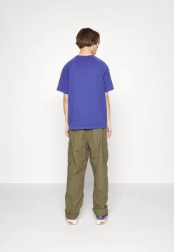 Quiksilver Alpha Dog Tee - T-Shirt Basic - Royal -Quiksilver f136b8d804784384965eb7e23ecbf559 scaled