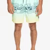 Quiksilver Everyday Wordblock Volley 17 - Zwemshorts - Beach Glass